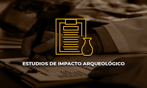 Asesorías Previas y Líneas de Base